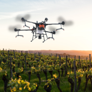 Formation opérationnel à l'épandage viticole par drone