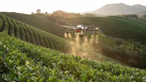 Illustration d'un drone agricole